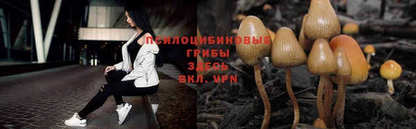спиды Алексин