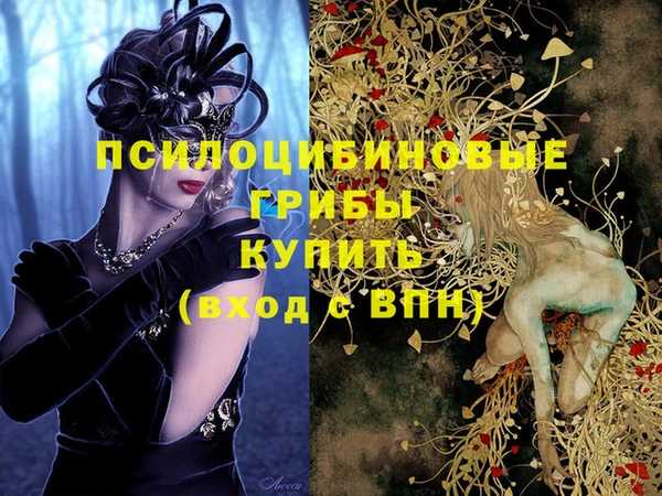 спиды Алексин