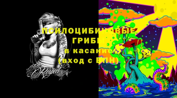 скорость Алзамай