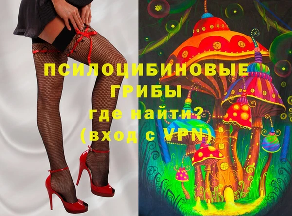 скорость Алзамай