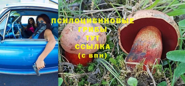 скорость Алзамай