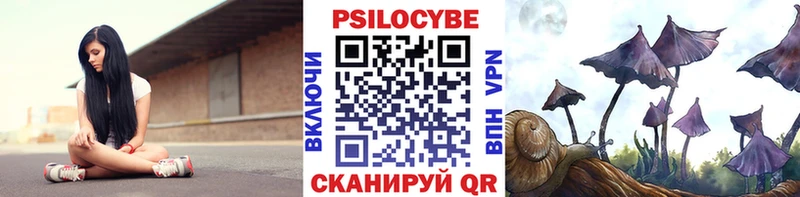 Галлюциногенные грибы Psilocybe  купить   Ивдель 
